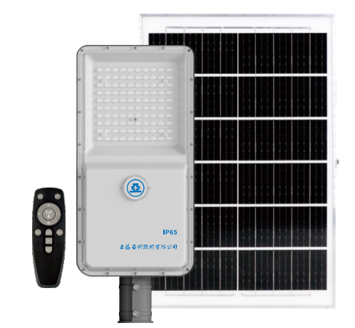 ZDS301太陽(yáng)能路燈